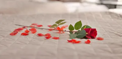 a group of red flowers on a bed at Hotel-Chao NL 24 hours open in Utrecht
