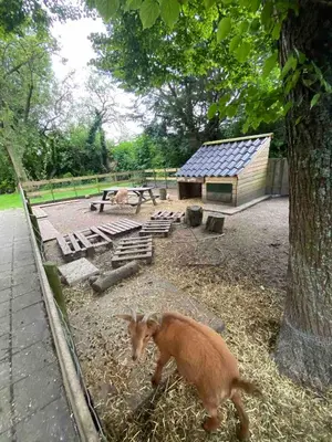a baby goat walking around in a zoo at La Luna - Danny in Heerhugowaard