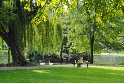a woman sitting on a bench in a park with ducks at Renovated Parkside Gem - 2 person studio in the Pijp in Amsterdam