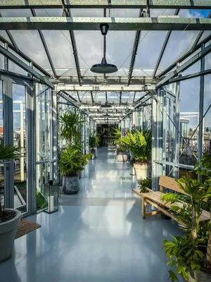 a glass greenhouse with potted plants in it at Renovated Parkside Gem - 2 person studio in the Pijp in Amsterdam
