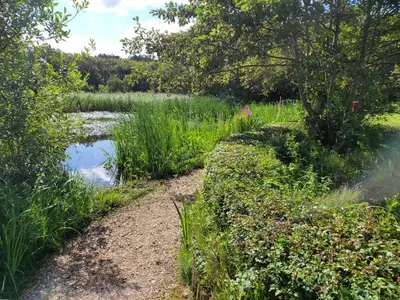 a path through a field next to a pond at Appartement Canberra. in Bergen aan Zee