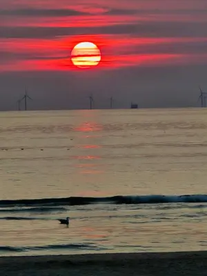 a person in the ocean with the sun in the background at Beach 44 in Egmond aan Zee