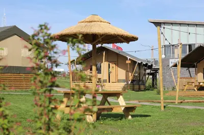 a picnic table with a straw umbrella in the grass at Safari Lodges XL in Nieuwe Wetering