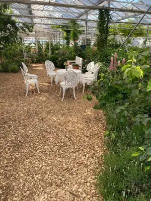 a patio with a table and chairs in a greenhouse at Luxe Glamping tent met sterrenhemel in Rijsenhout
