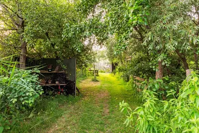 a path through a garden with trees and a fence at Nature lovers Your own island in Wijdewormer