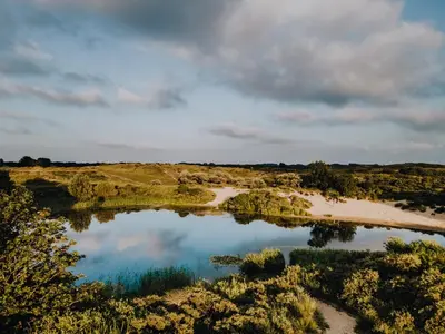 an aerial view of a river in a field at Therese with free parking in Zandvoort