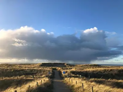 a dirt road in the middle of a field at Holiday Home in Schoorl near Dunes in Schoorl