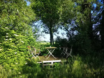 a picnic table and a bench in a park with trees at South African lodge in Westbeemster