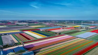 an aerial view of a factory with many colored containers at Comfortable Stay Near The Coast in Burgerbrug