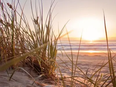 a sunset on the beach with grass at Holiday Home Tiny House QuDi by Interhome in Noordwijk