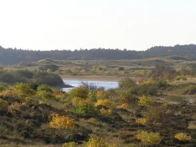 a river in the middle of a field with trees at Peaceful Dune Retreat with Garden in Schoorl
