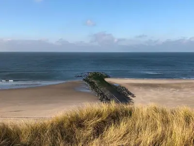 a beach with a tree in the sand and the ocean at Peaceful Dune Retreat with Garden in Schoorl