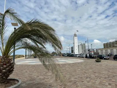a palm tree on a sidewalk with a building in the background at Holiday Home Alk 8-1 by Interhome in Noordwijkerhout