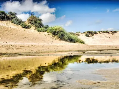 a beach with a reflection in the water at Holiday Home Tapuit 8-1 by Interhome in Noordwijk