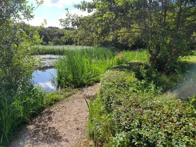 a path leading to a pond in a field at Apartment in Bergen aan Zee near the Beach in Bergen aan Zee