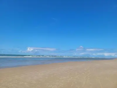 a sandy beach with the ocean in the background at Apartment in Bergen aan Zee near the Beach in Bergen aan Zee