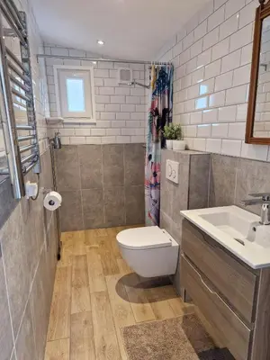 a bathroom with a toilet and a sink at Bed & Bentwoud in Benthuizen