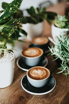 four cups of coffee on a table with plants at Studio Eelhouse in Amsterdam