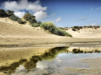 a reflection of the sky in the water on a beach at Holiday Home Stern Comfort-3 by Interhome in Noordwijkerhout