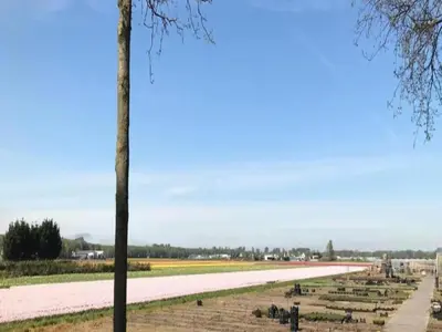 a large field with a long road in the distance at Holiday Home in Noordwijkerhout near Lake in Noordwijkerhout