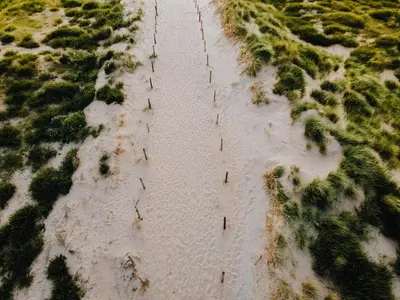 an aerial view of a beach with trees and water at BUDDHA BEACH BUNGALOWS Adults Only in Zandvoort