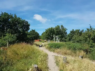 a dirt path through a field with trees at Luxuriously restored farmhouse with trendy interior close to sea and forest in Groet