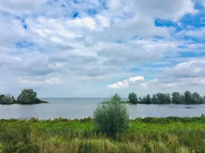 a large body of water with trees in the distance at Haus zum Leuchtturm Ferienpark Vislust Niederlande Ijsselmeer in Wervershoof