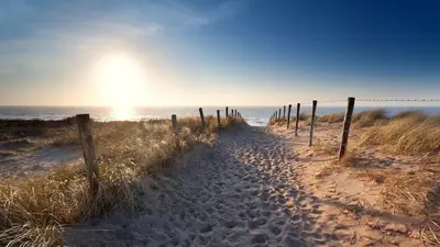a dirt path to the beach with a fence at Sunny Place in Zandvoort