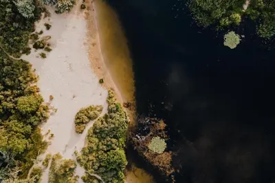 an overhead view of a body of water with trees at Studio 19 with private parking in Zandvoort