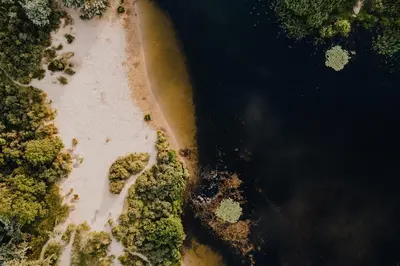 an overhead view of a river with trees and water at Het Zomerhuis Family apartment in Zandvoort