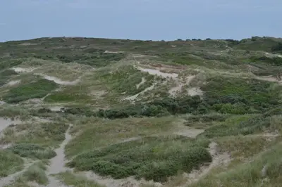 an open field with grass and dirt roads at Das Luxus Dünenhäuschen mit Wellnesszugang in Egmond aan Zee