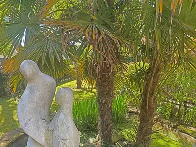 a statue of two angels next to a palm tree at Villa Prinsenhof # Vierentwintig in Bergen