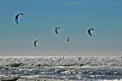 a group of kites flying over the ocean at Villa Prinsenhof # Zeventien in Bergen