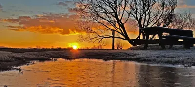 a sunset over a pond with the sun setting in the background at Hotelhuisje Warmenhuizen #D in Warmenhuizen
