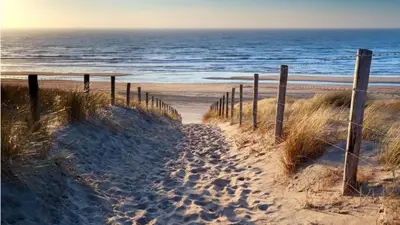 a fence on a sandy beach near the ocean at Garden find zandvoort in Bentveld