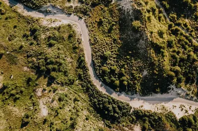 an overhead view of a winding road in the forest at Casa by Sellas in Zandvoort