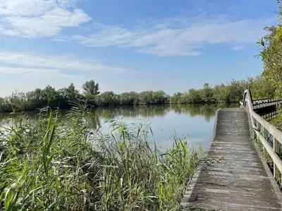 a wooden boardwalk over a lake with a bridge at Relaxen aan de kust by Droomvilla in Sint Maarten