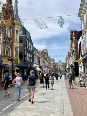 a group of people walking down a busy city street at City room in Alkmaar
