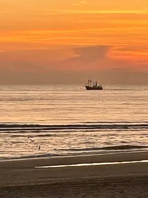 a boat in the ocean with a beach at sunset at City room in Alkmaar