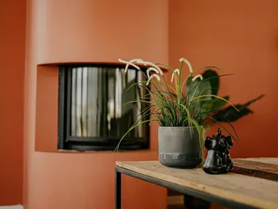 a potted plant sitting on a table in a room at Penthouse with Lake Views in Uitgeest