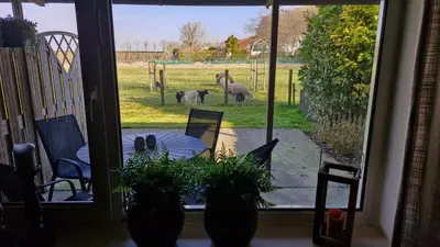 a view of a patio with a table and animals through a window at Hemmer Hoeve in Hem