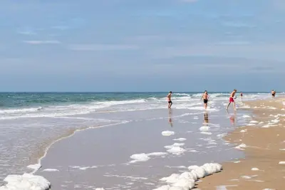 a group of people walking in the water on the beach at Vakantiewoning 't Juttershuis Egmond aan Zee in Egmond aan Zee