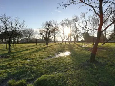 a field with trees and the sun in the distance at 't Pekelhuis - Vakantiehuisje op boerderij Huize Blokland in Hem
