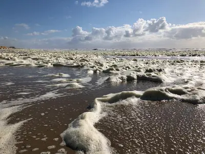 a beach with snow on the sand and water at De Duinlopers - Studio appt Bries - Strand, duinen en nabij cultuur steden in Castricum